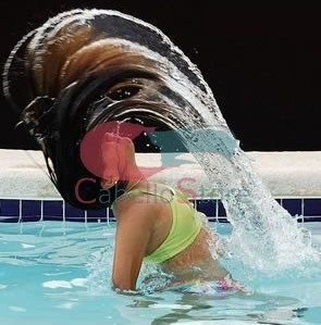 Cuidar tus Extensiones en la piscina 